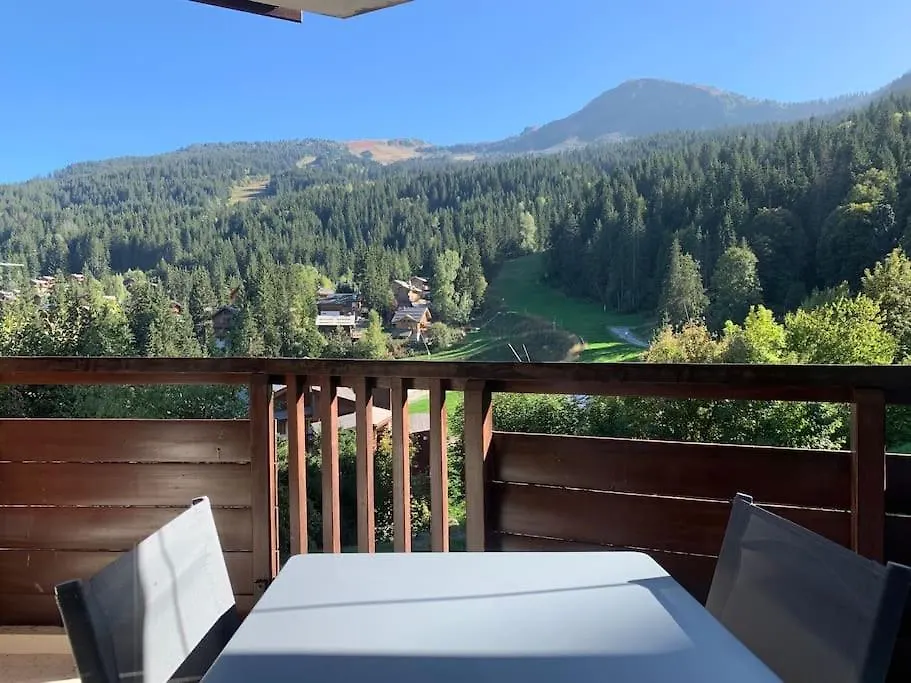 Residence Atrey 103 Cles Blanches Courchevel